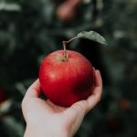 Czy jabłko, które Ewa podarowała Adamowi było ekologiczne?