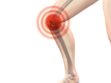 Budowa stawu kolanowego – anatomia kolana