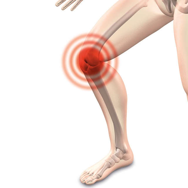 Budowa stawu kolanowego – anatomia kolana